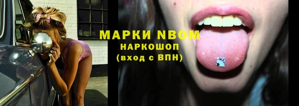 гашик Покровск