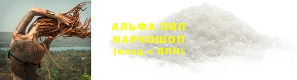 a pvp Белокуриха